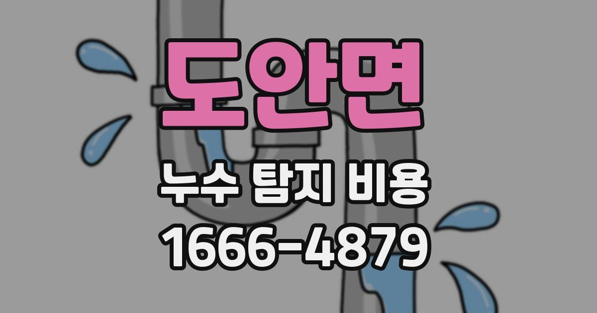 도안면 누수 탐지 비용