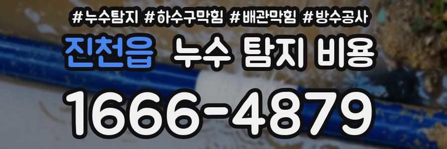 진천읍 누수 탐지 비용