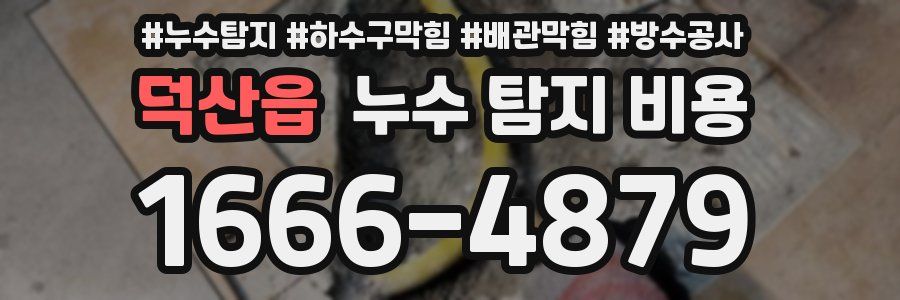 덕산읍 누수 탐지 비용