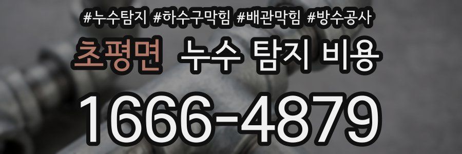 초평면 누수 탐지 비용