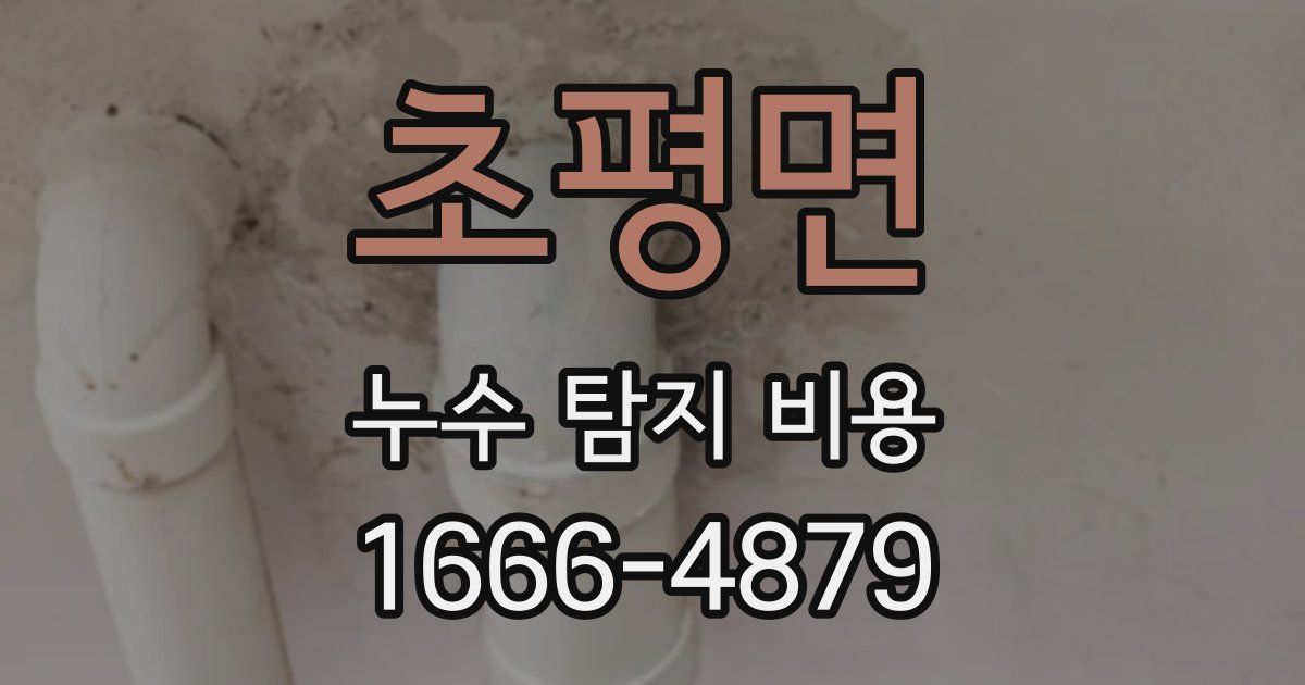 초평면 누수 탐지 비용
