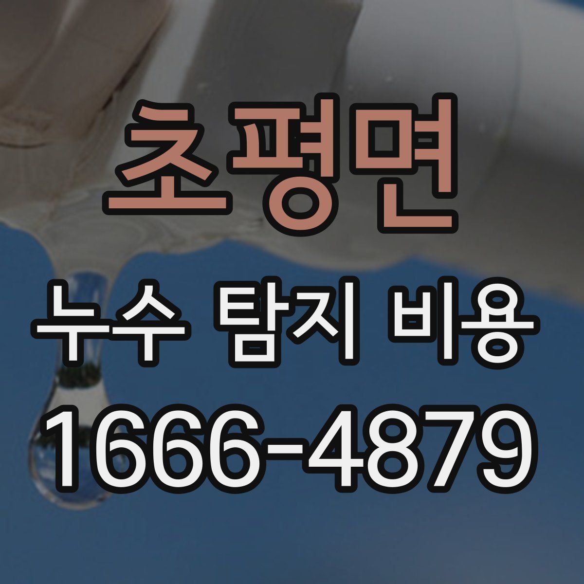 초평면 누수 탐지 비용