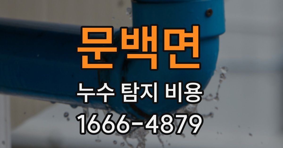 문백면 누수 탐지 비용
