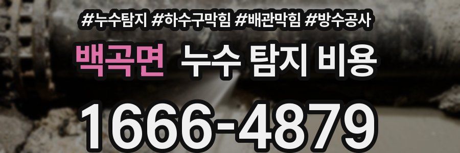 백곡면 누수 탐지 비용