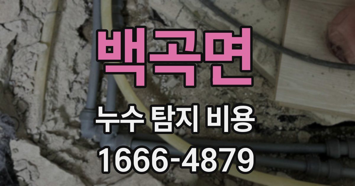 백곡면 누수 탐지 비용