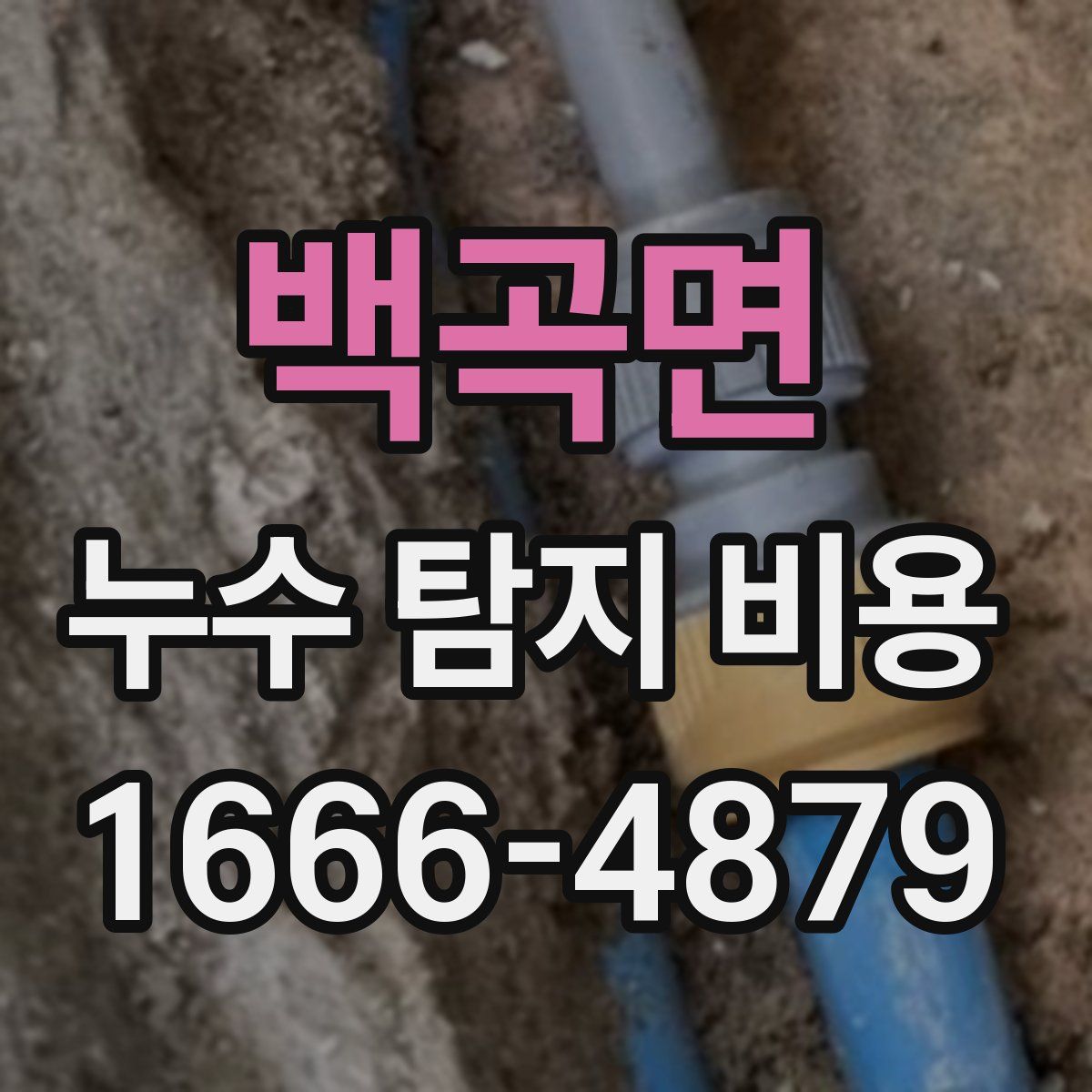 백곡면 누수 탐지 비용