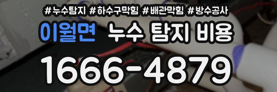 이월면 누수 탐지 비용