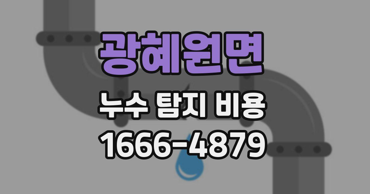 광혜원면 누수 탐지 비용