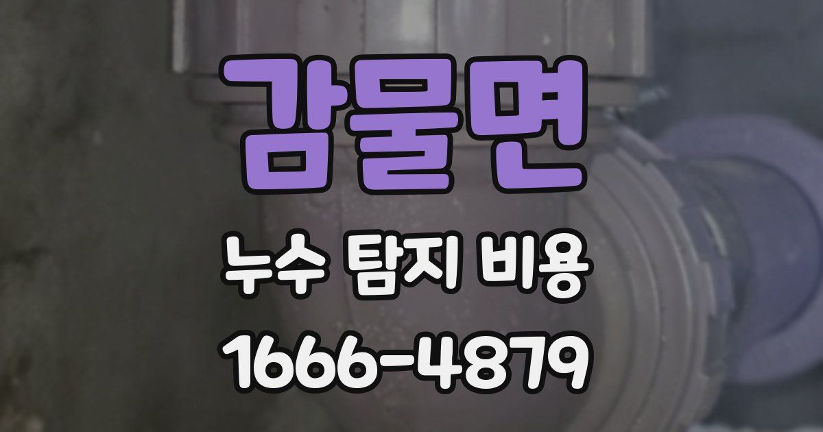 감물면 누수 탐지 비용