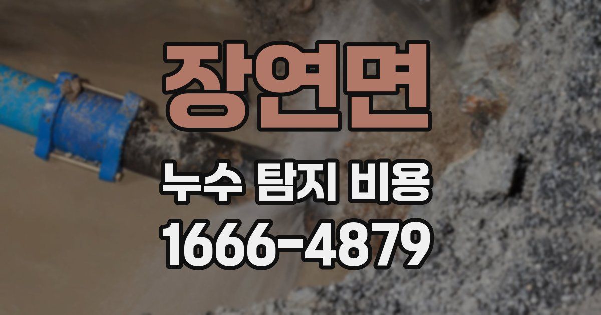 장연면 누수 탐지 비용