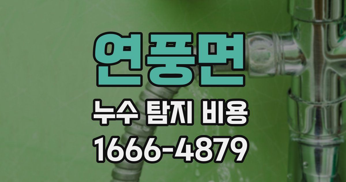 연풍면 누수 탐지 비용