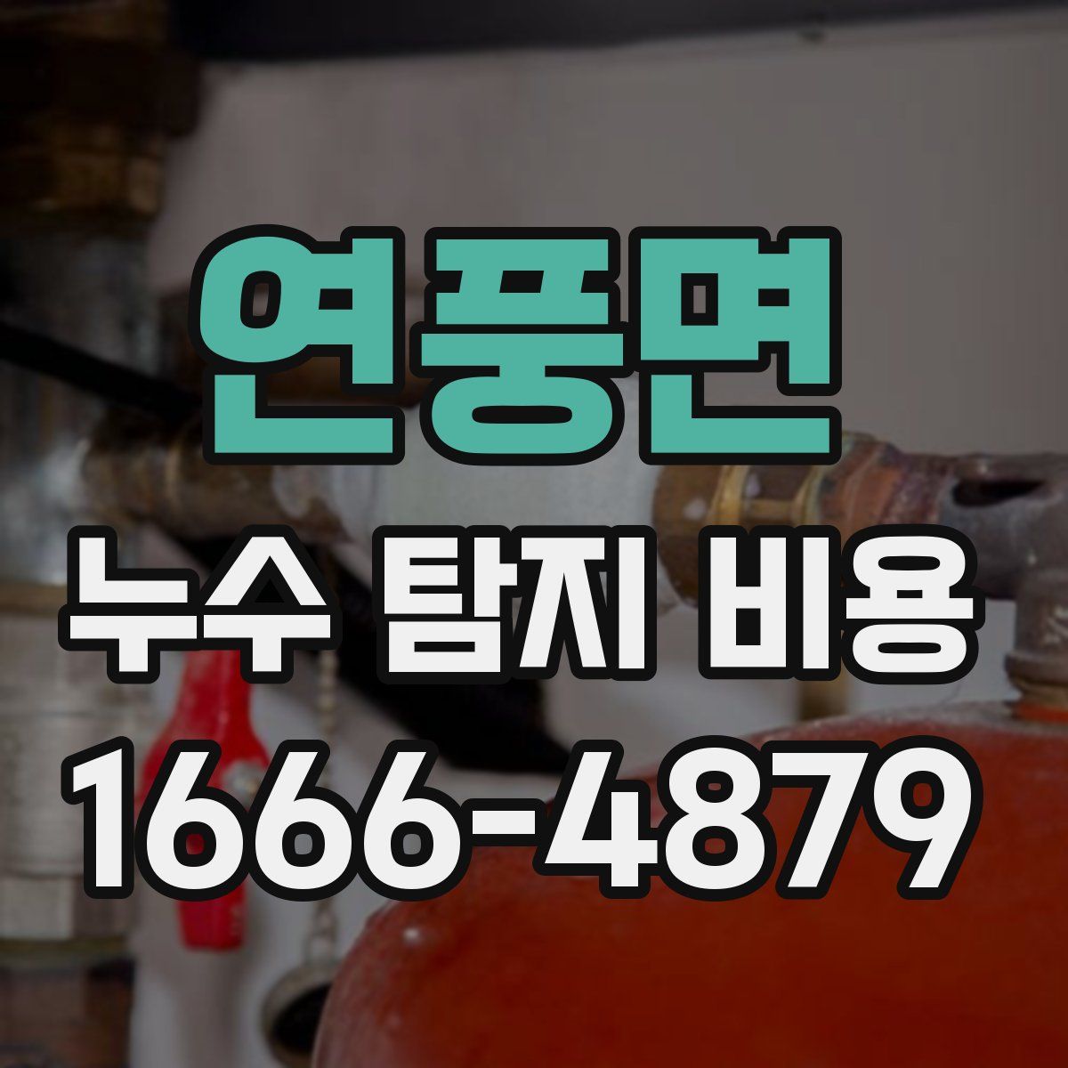 연풍면 누수 탐지 비용