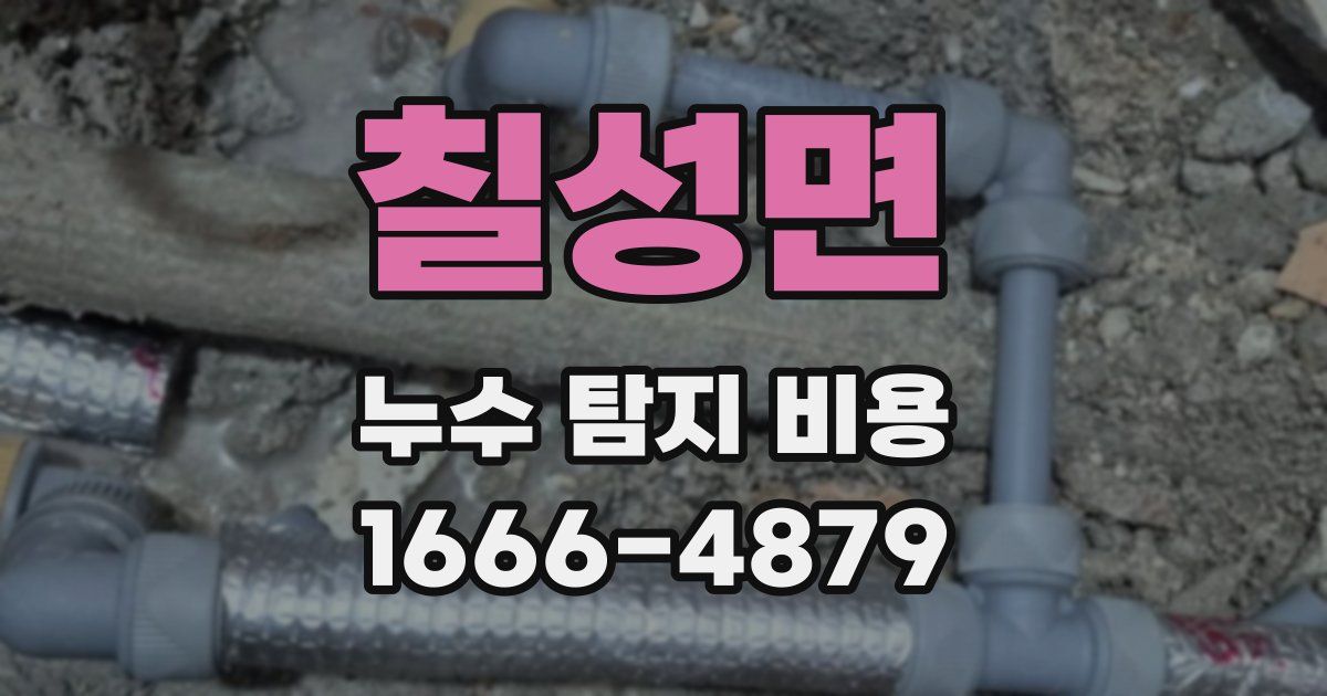 칠성면 누수 탐지 비용