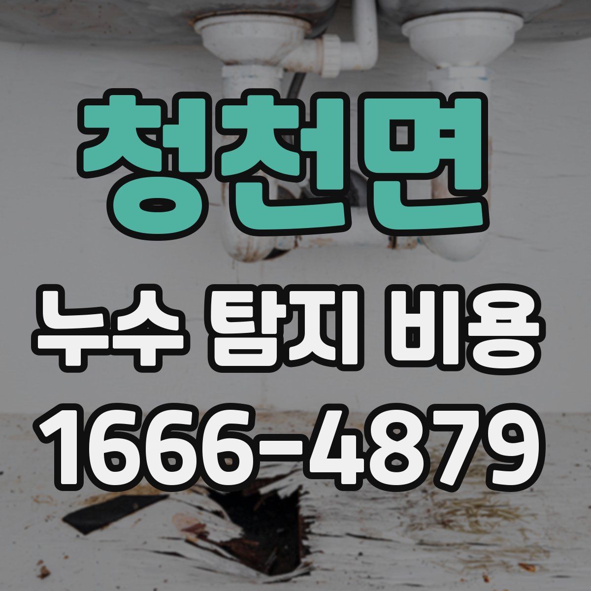 청천면 누수 탐지 비용