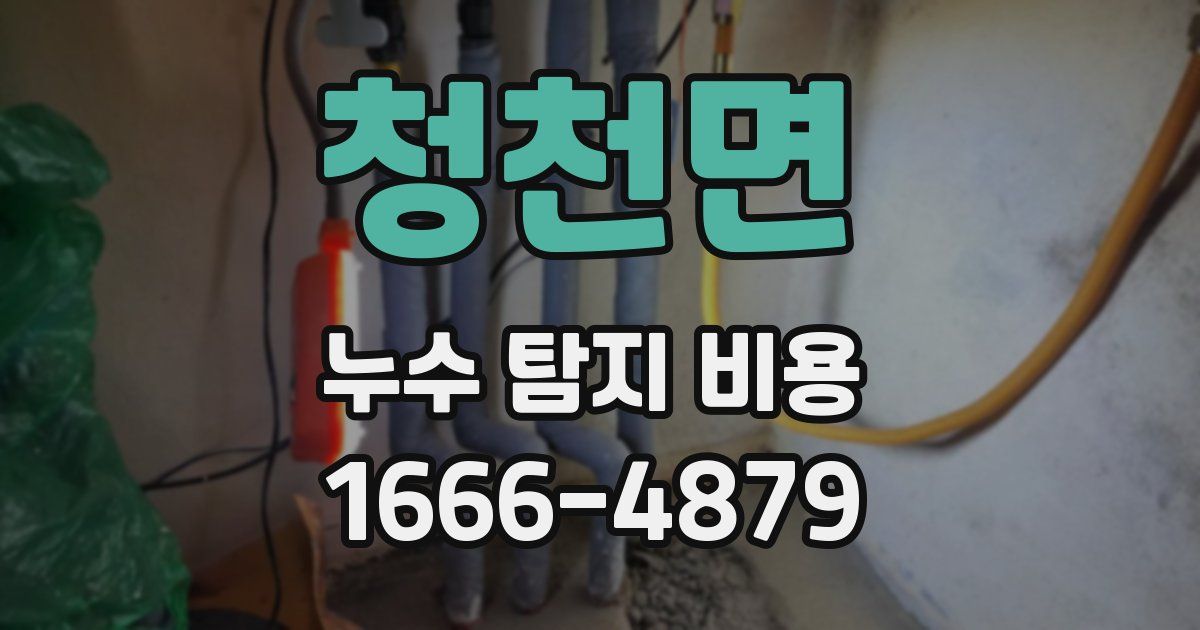 청천면 누수 탐지 비용