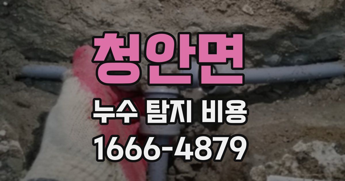 청안면 누수 탐지 비용