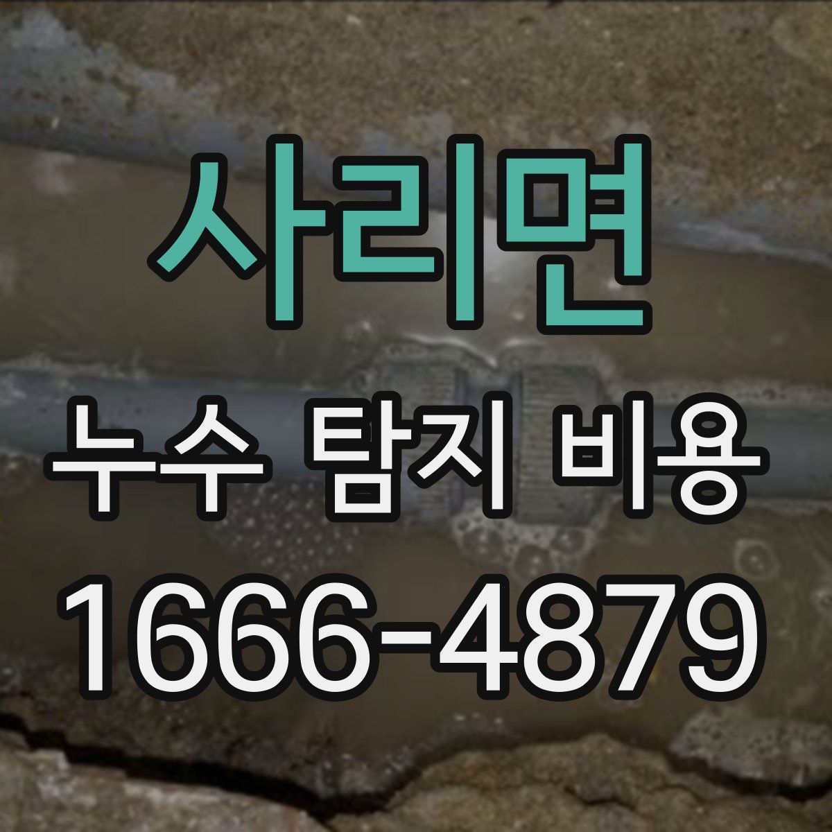 사리면 누수 탐지 비용