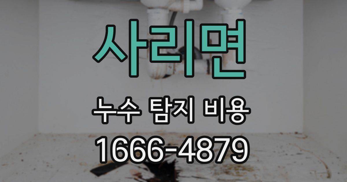 사리면 누수 탐지 비용