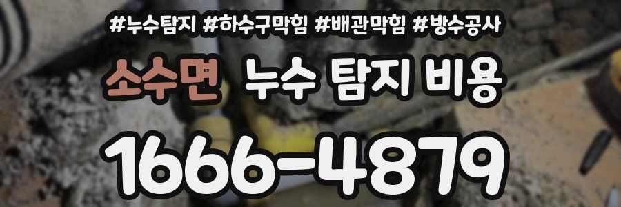 소수면 누수 탐지 비용