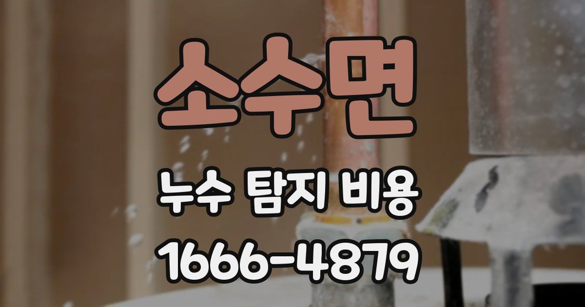 소수면 누수 탐지 비용