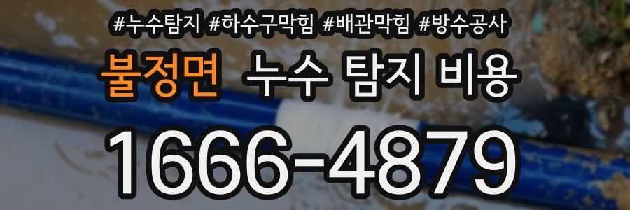 불정면 누수 탐지 비용