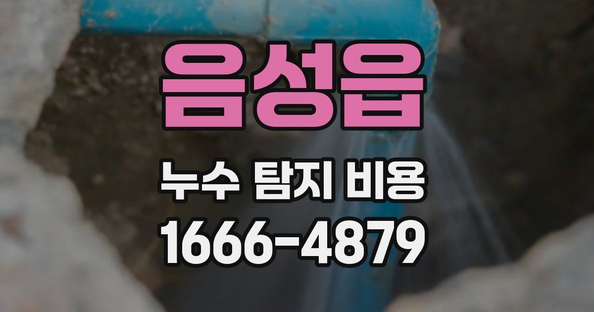 음성읍 누수 탐지 비용
