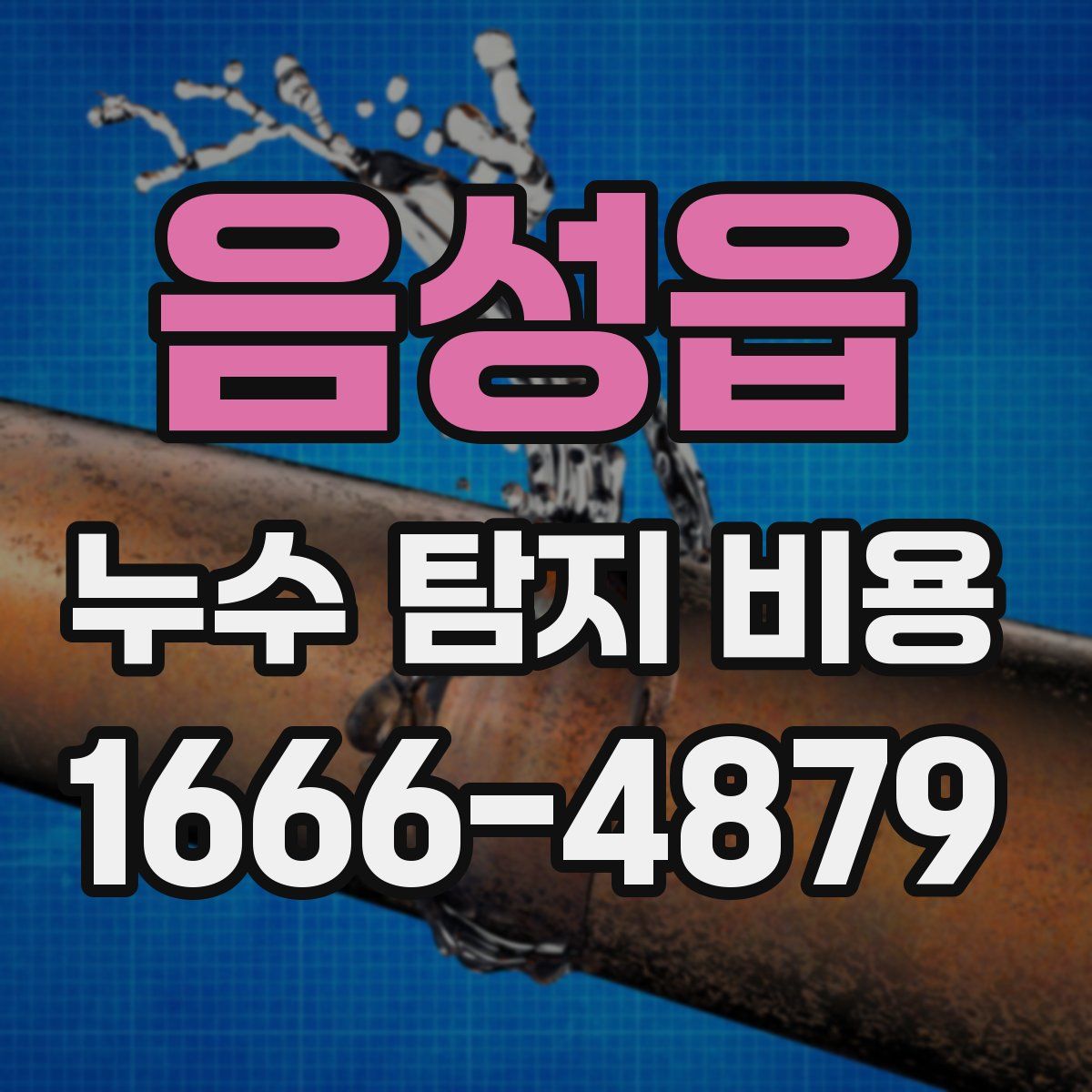 음성읍 누수 탐지 비용