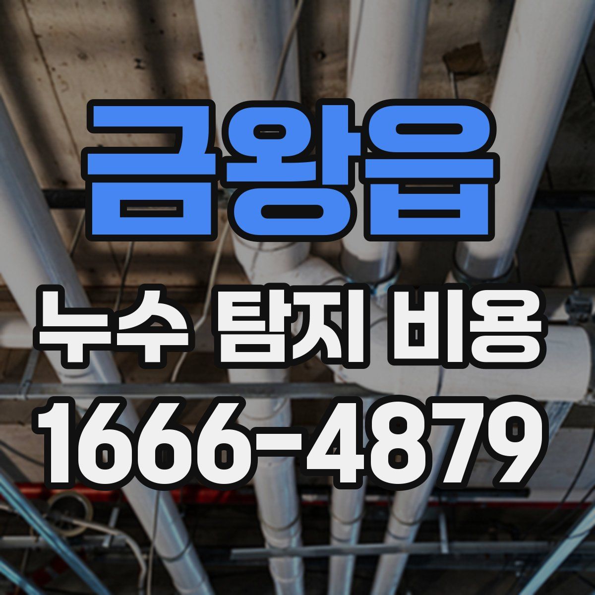 금왕읍 누수 탐지 비용