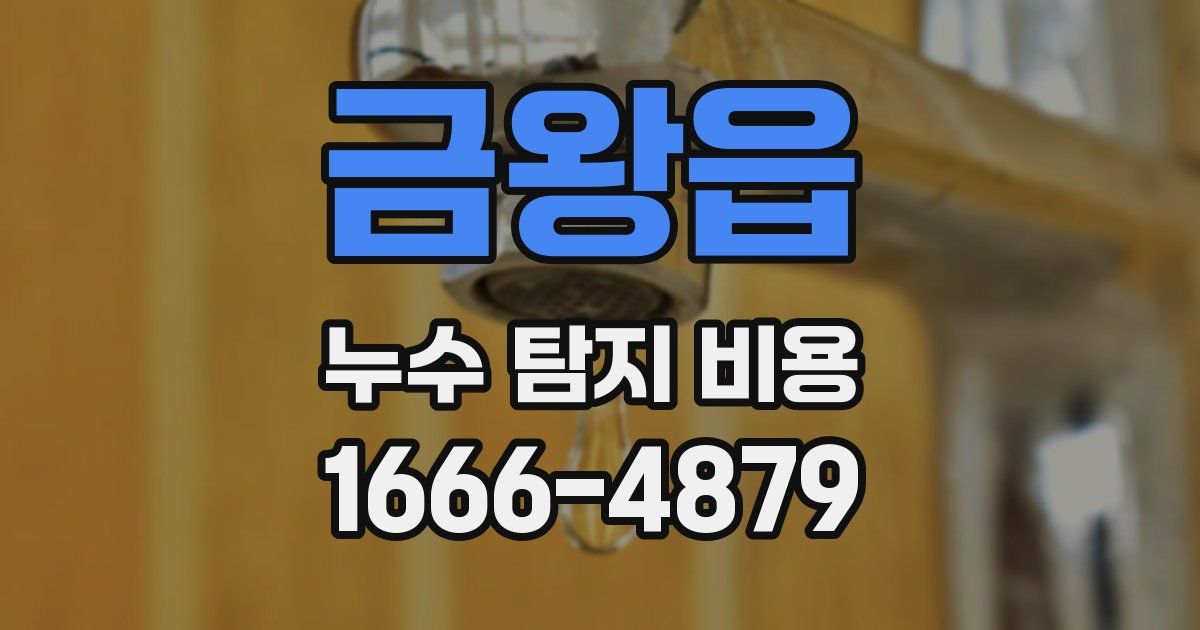 금왕읍 누수 탐지 비용