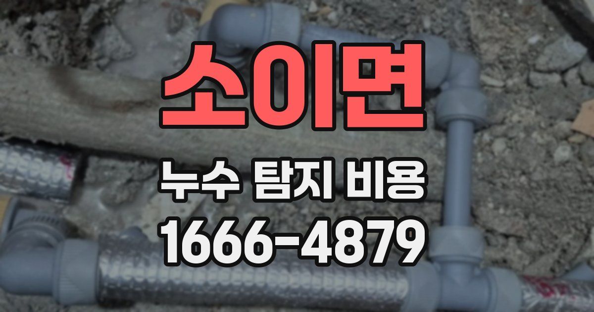 소이면 누수 탐지 비용
