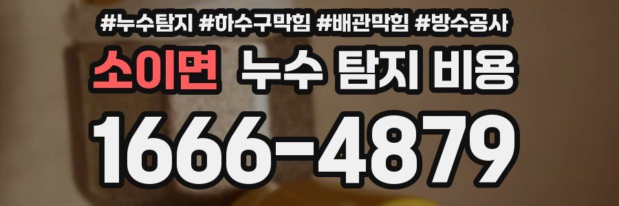 소이면 누수 탐지 비용