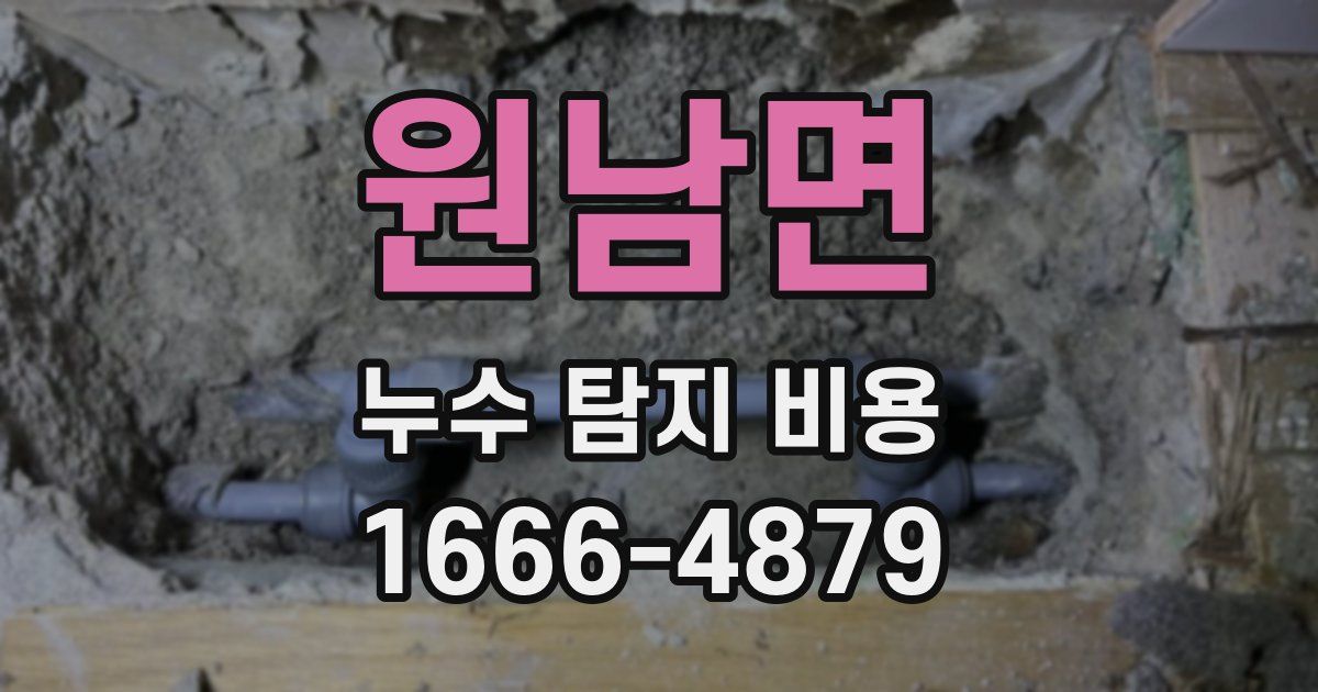 원남면 누수 탐지 비용