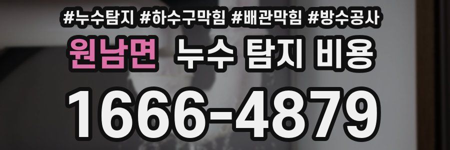 원남면 누수 탐지 비용