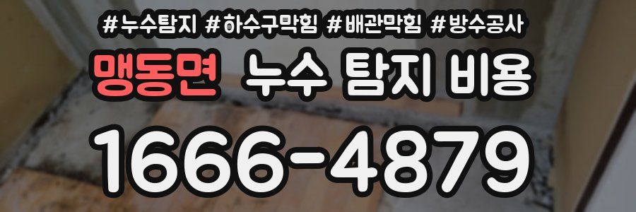 맹동면 누수 탐지 비용