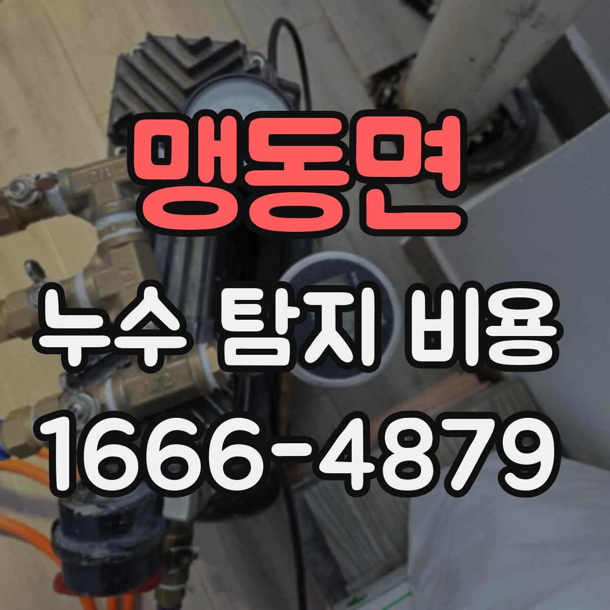 맹동면 누수 탐지 비용