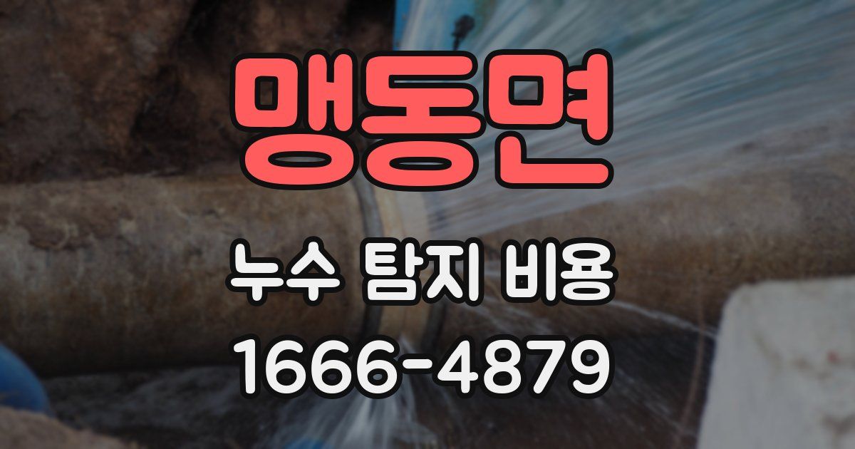 맹동면 누수 탐지 비용