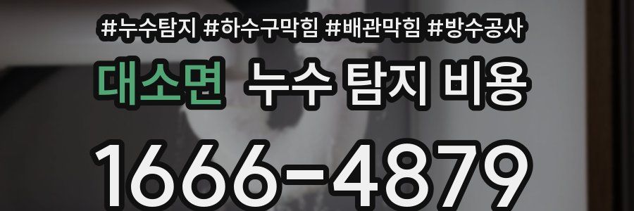대소면 누수 탐지 비용