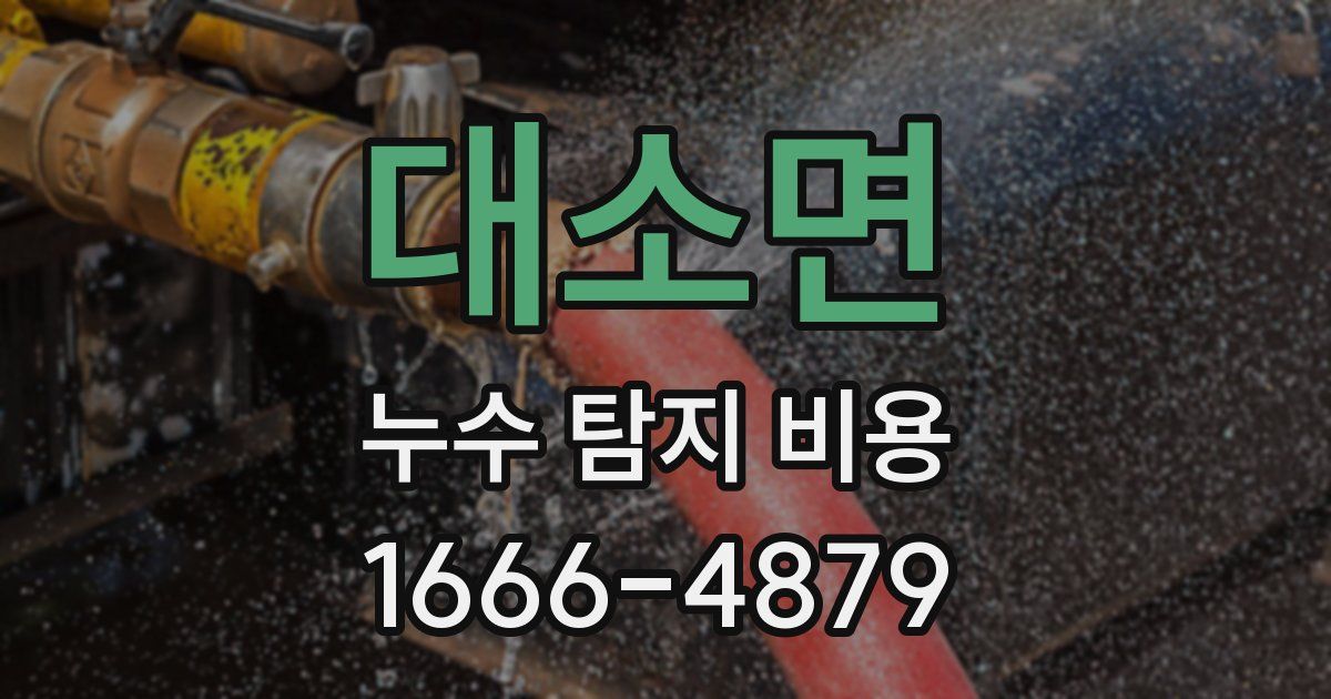 대소면 누수 탐지 비용