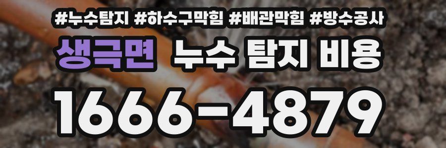 생극면 누수 탐지 비용