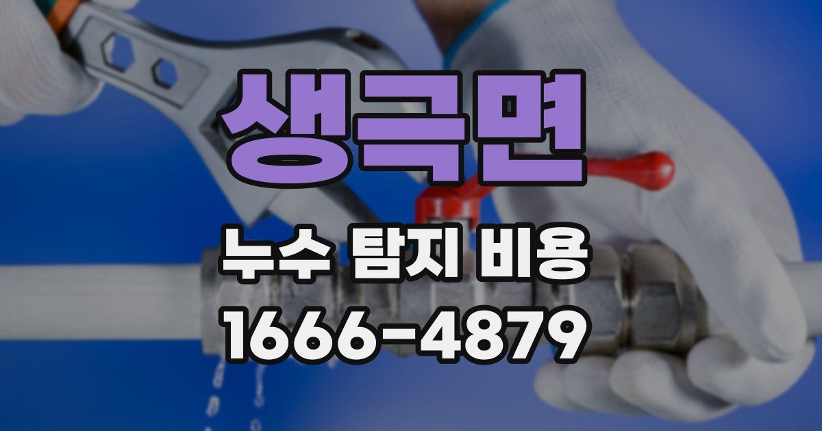 생극면 누수 탐지 비용
