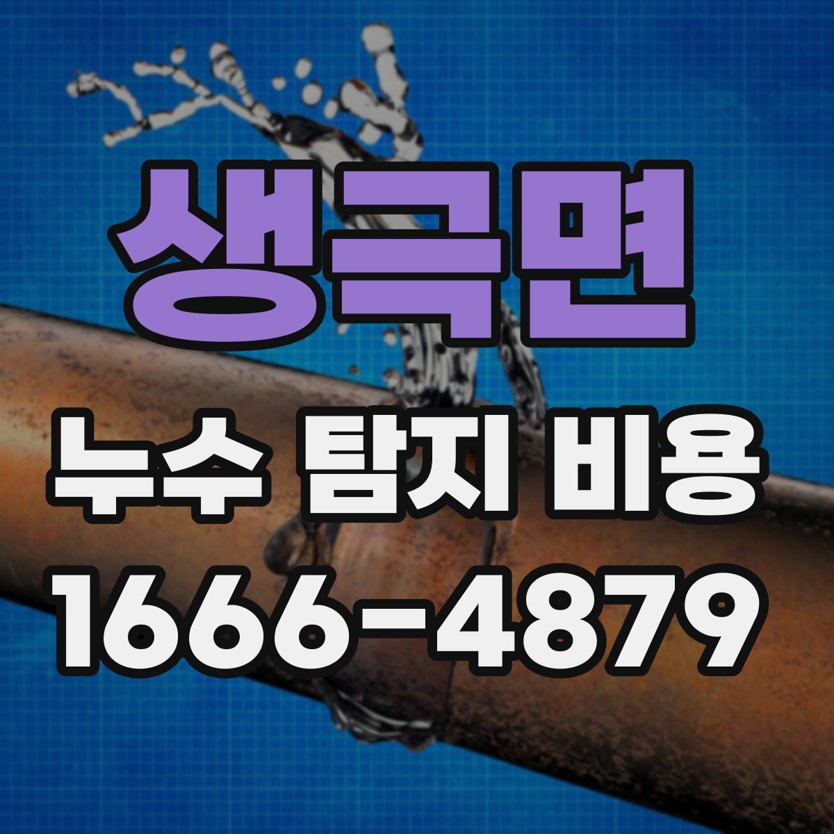 생극면 누수 탐지 비용