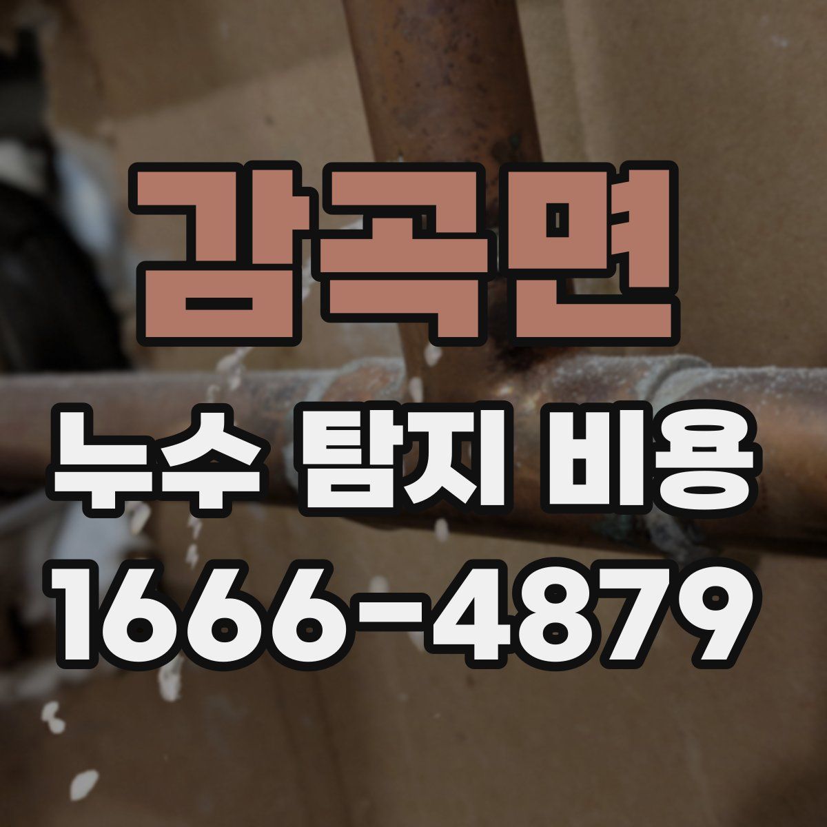 감곡면 누수 탐지 비용