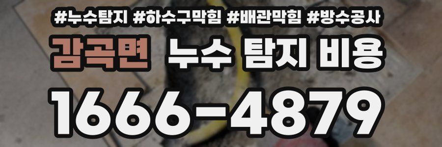 감곡면 누수 탐지 비용