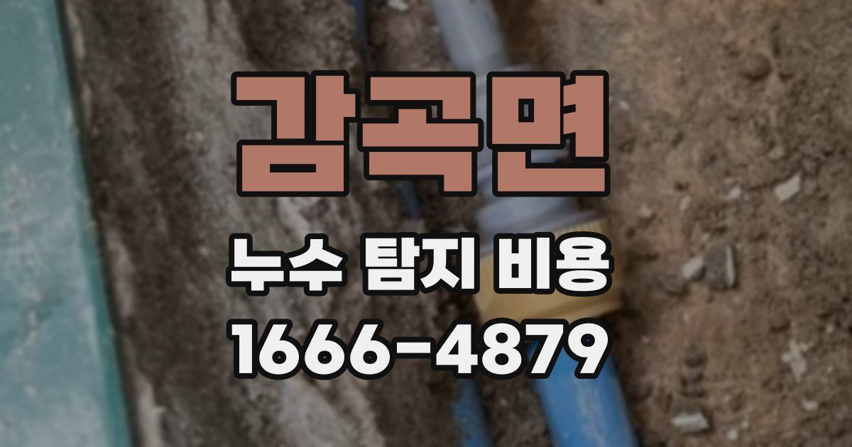 감곡면 누수 탐지 비용