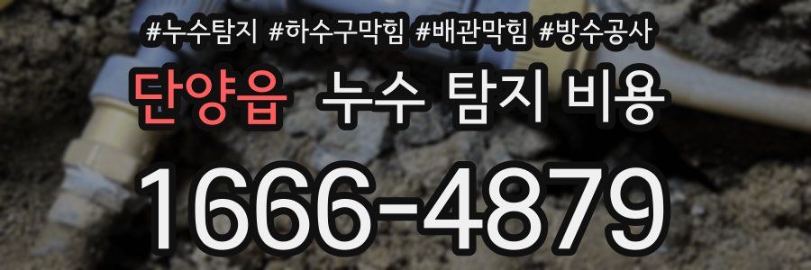 단양읍 누수 탐지 비용