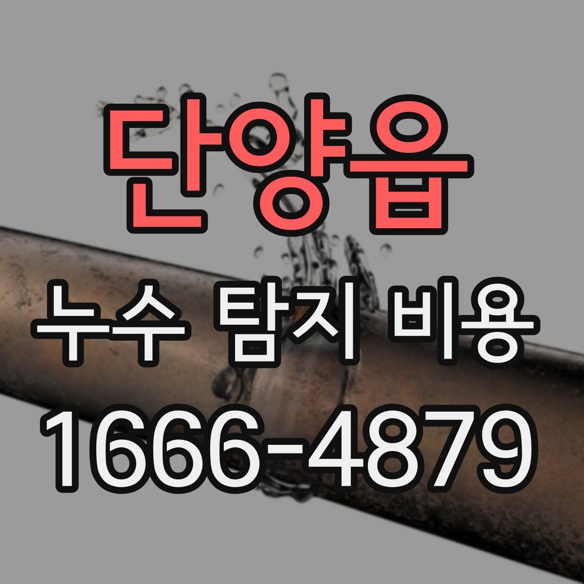 단양읍 누수 탐지 비용
