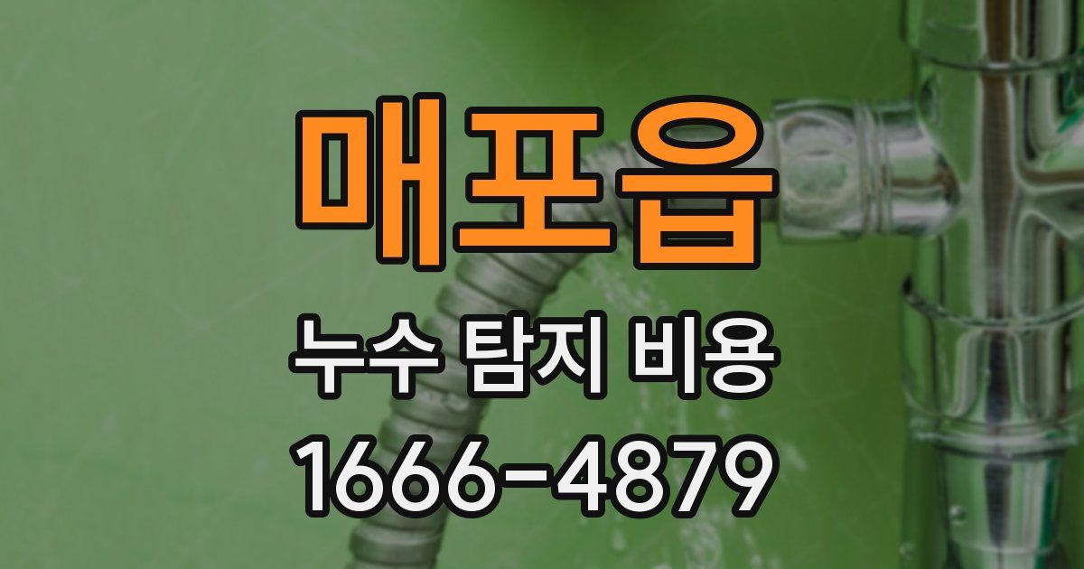 매포읍 누수 탐지 비용