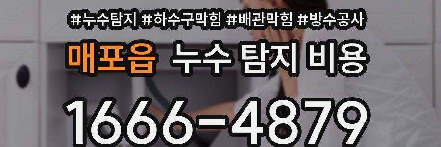 매포읍 누수 탐지 비용