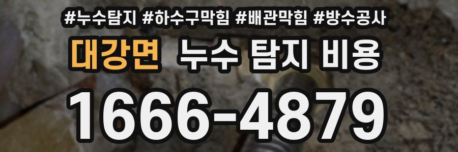 대강면 누수 탐지 비용