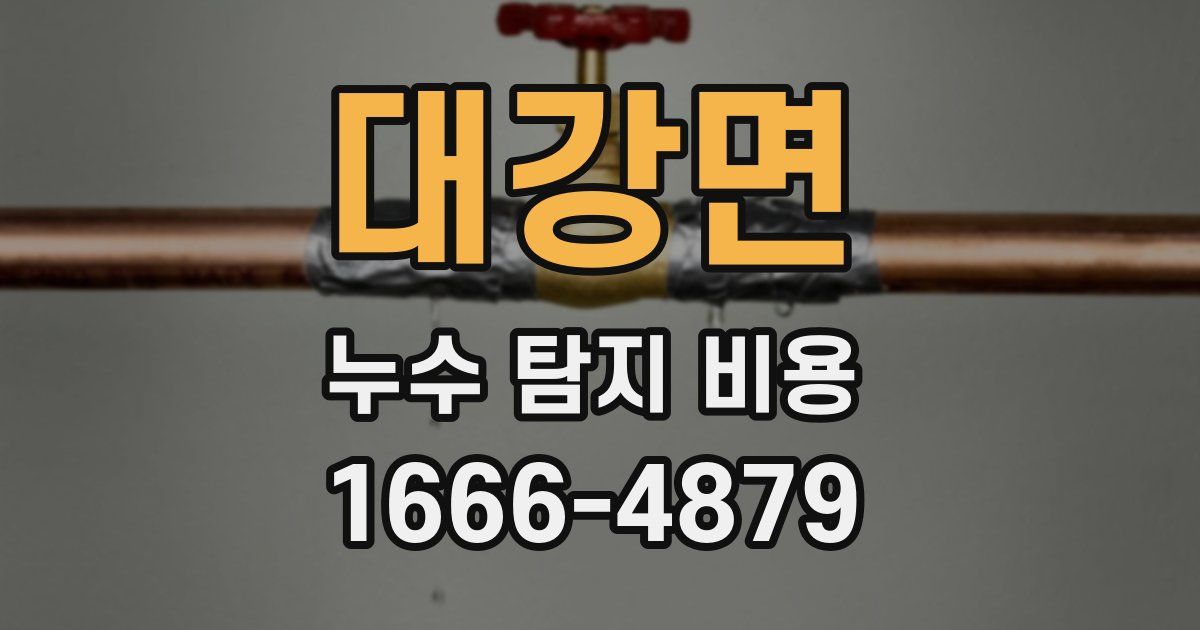 대강면 누수 탐지 비용